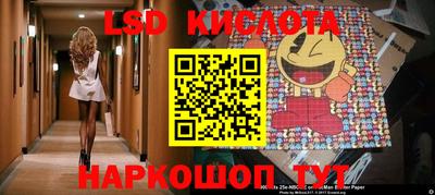 PSILOCYBIN Гудермес