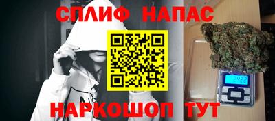PSILOCYBIN Гудермес
