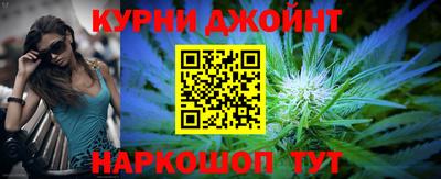 PSILOCYBIN Гудермес